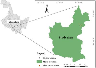 A comparison of five models in predicting surface dead fine fuel moisture content of typical forests in Northeast China